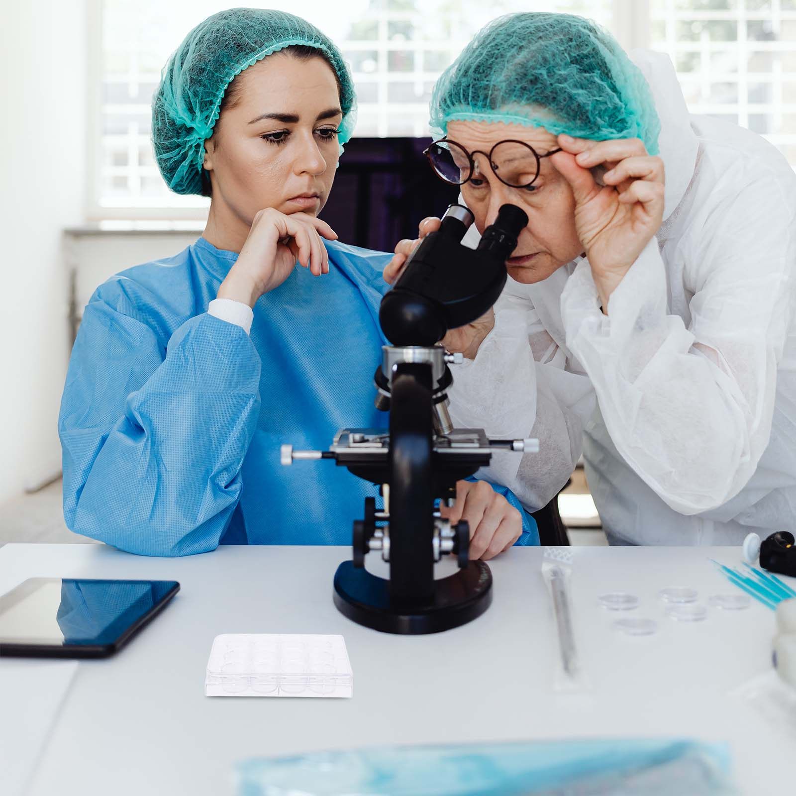 Пластинка для культивирования  – обзор и цена Lab Equipment